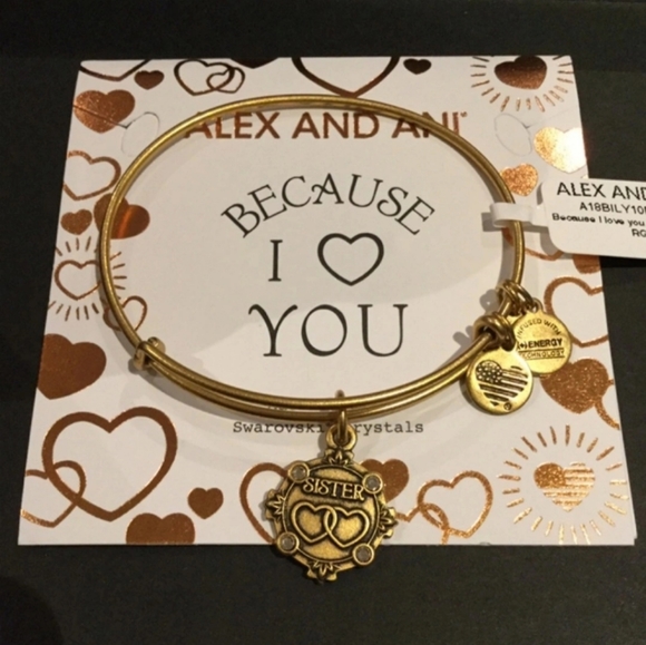 Alex and Ani Because I Love You Sister Gold Bangle - Picture 3 of 5